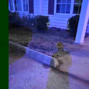 Bush Trimming by Smith's Services reviewed on July 7, 2022