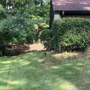 Bush Trimming by Multi Purpose Lawncare reviewed on June 5, 2025