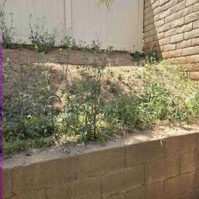 Weeding by Unmanageable weeds reviewed on December 24, 2024