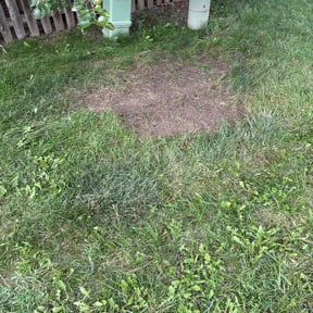 Cleanups by K&K Green Grass reviewed on December 30, 2024
