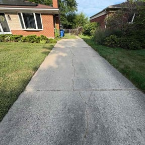 Weeding by Blue Line Landscaping reviewed on August 2, 2022