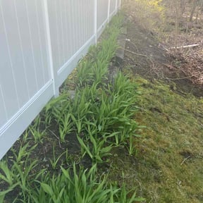 Flower Bed Weeding by Stephen Peffly reviewed on June 15, 2022