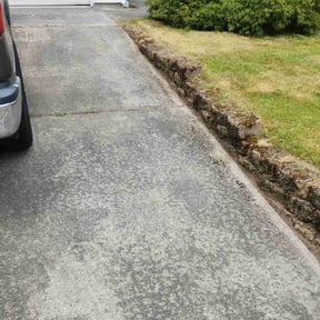 Weeding by Pristine Properties LHS reviewed on November 23, 2024