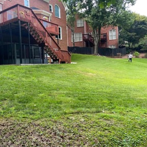 Leaf Removal by Green Grazers reviewed on July 25, 2022
