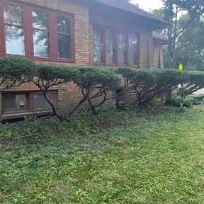 Bush Trimming by Medina's maintenance reviewed on May 10, 2022