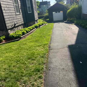 Leaf Removal by IronHorse Svc reviewed on June 12, 2019