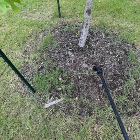 Flower Bed Weeding by Stellar Lawn Care LLC reviewed on November 23, 2021