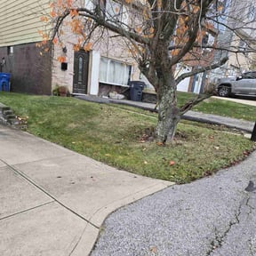 Leaf Removal by Willie Lawn Care and More LLC reviewed on April 1, 2020