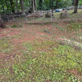 Cleanups by MPV Landscaping reviewed on July 3, 2022