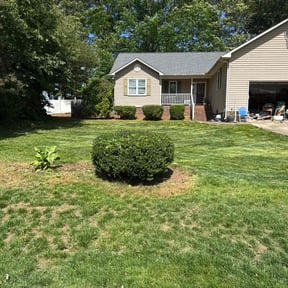 Bush Trimming by B&SS reviewed on June 9, 2022