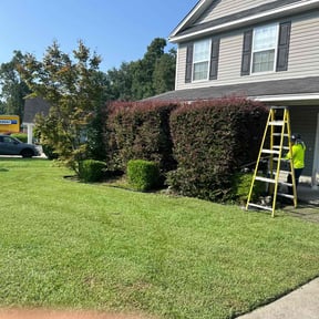 Bush Trimming by Yard Worx Lawn Service reviewed on June 1, 2022
