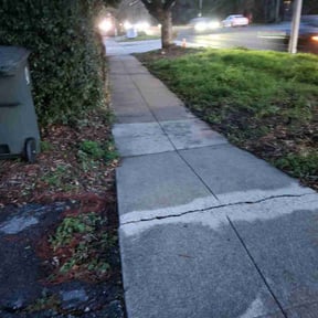 Bush Trimming by Early Bird Lawn Care LLC reviewed on June 3, 2022