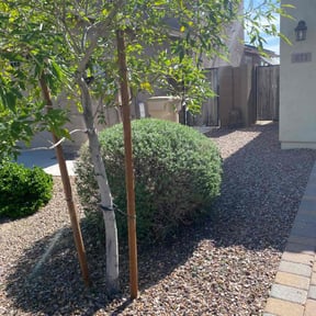 Bush Trimming by Destiny Lawn Care reviewed on July 13, 2022