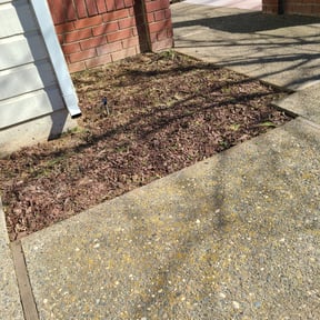 Cleanups by The yard guy's reviewed on January 27, 2022
