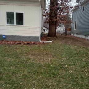 Leaf Removal by JR. landscaping services reviewed on September 16, 2021