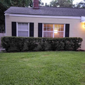 Bush Trimming by Perfect Touch reviewed on July 7, 2025