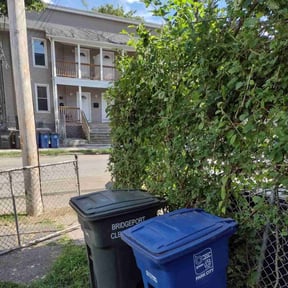 Bush Trimming by Green Ranch Lawncare and Pressure Washing reviewed on April 27, 2022
