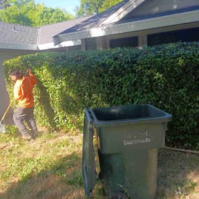 Bush Trimming by Brooks lawn Care reviewed on June 23, 2022