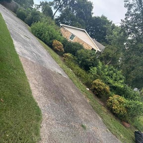 Flower Bed Weeding by Livingoak landscaping and lawn care reviewed on September 21, 2020