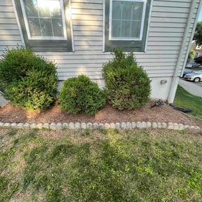 Flower Bed Weeding by Counts lawn Care reviewed on August 12, 2021