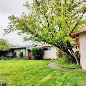 Bush Trimming by Lawn Care reviewed on July 1, 2022