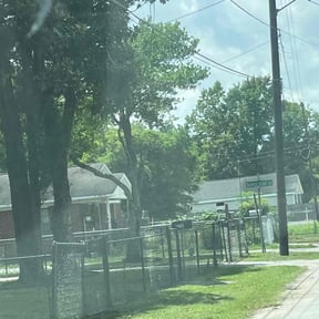 Leaf Removal by American lawn care reviewed on July 28, 2022