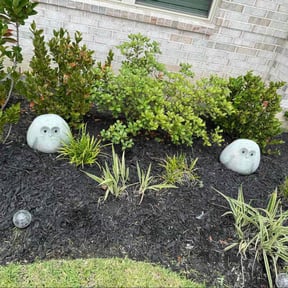 Flower Bed Weeding by GLOBAL GENERAL LLC reviewed on June 19, 2025