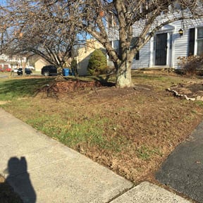 Leaf Removal by Cloverleaf Lawncare reviewed on May 24, 2022