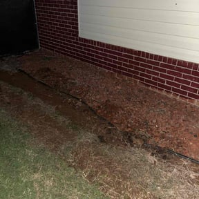 Cleanups by Morel Lawn &amp; tree service reviewed on July 21, 2022