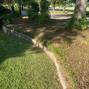 Bush Trimming by Rjm reviewed on July 13, 2022