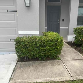 Bush Trimming by M & J Lawn Care Service reviewed on July 5, 2022