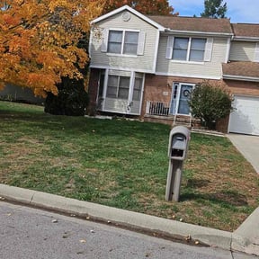 Leaf Removal by Real Deal Lawn Care LLC reviewed on August 7, 2022
