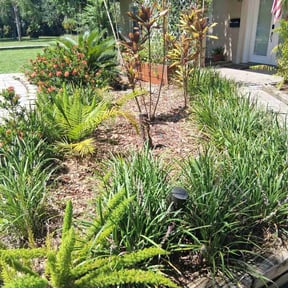 Flower Bed Weeding by Blazin Scapes LLC reviewed on April 4, 2025