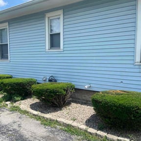 Bush Trimming by D&D Reliable Services LLC reviewed on June 14, 2025
