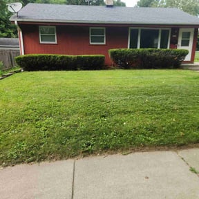 Bush Trimming by Home Land Enterprises LLC reviewed on June 9, 2022