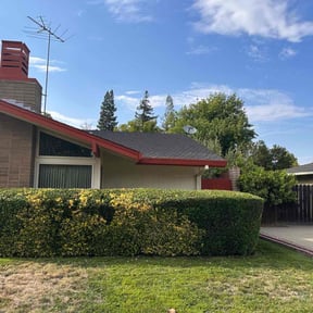 Bush Trimming by Diego Mojica Lawn Care reviewed on July 29, 2025