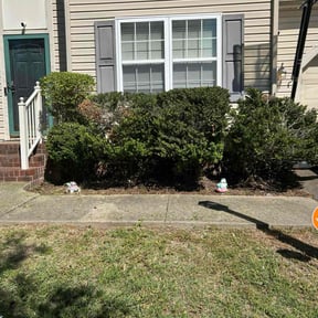 Bush Trimming by Rockville Landscaping reviewed on June 25, 2025