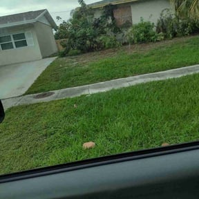 Bush Trimming by ShiftChange LLC Lawn Service reviewed on November 3, 2022