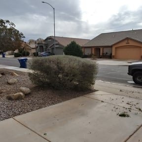 Bush Trimming by C J 's. Lawn Care reviewed on July 18, 2025