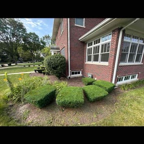 Bush Trimming by Cortez Landscaping reviewed on June 5, 2025