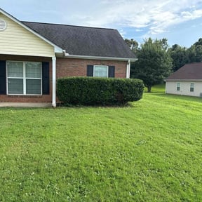 Bush Trimming by A Handyman and Mowing Company reviewed on May 12, 2022