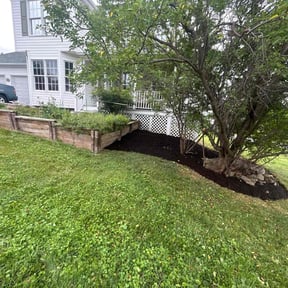 Mulching by Wilson Leon Landscaping reviewed on June 20, 2025