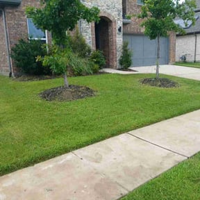 Flower Bed Weeding by Esmeralda reviewed on July 20, 2020