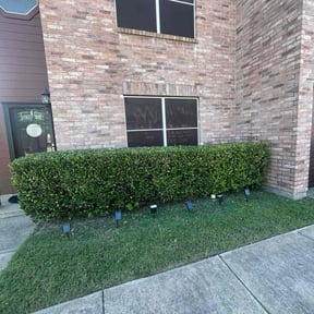 Bush Trimming by Faison&sons reviewed on July 20, 2022