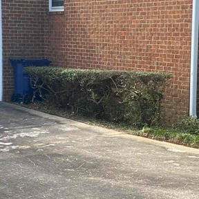 Bush Trimming by QK landscaping reviewed on July 20, 2022