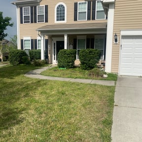 Bush Trimming by Creative Lawn Cuts & Landscaping reviewed on August 4, 2025