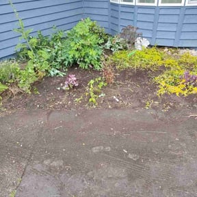 Flower Bed Weeding by Black horse reviewed on October 6, 2022