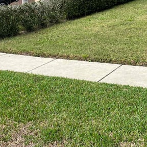 Bush Trimming by TruGreen LawnCare reviewed on June 6, 2025
