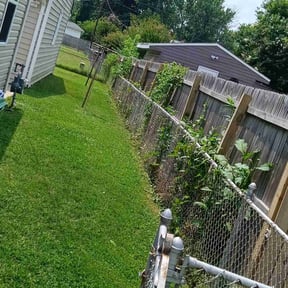 Weeding by AJ Landscaping & More reviewed on July 27, 2022