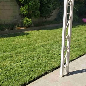 Cleanups by Pro Scaping reviewed on June 10, 2022